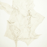 Ombre à fleur de gaze XIX